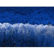 新型裝飾建材，憶江南墻藝漆，幻圖漆