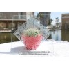河南鄭州 優質蒙砂膏