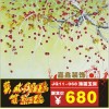 專業定做工藝玻璃|裝飾玻璃|電視沙發背景墻|玄關隔斷|屏風