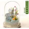夢之雨 微景觀玻璃生態瓶 玻璃器皿工藝品 廠家直銷
